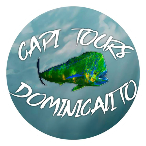 capitoursdominicalitocr.com